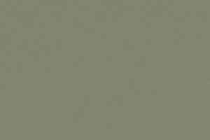 Линолеум Forbo Furniture Linoleum 4184 olive фото  | FLOORDEALER